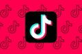 TikTok celebra sus primeros Mil Millones de usuarios mensuales