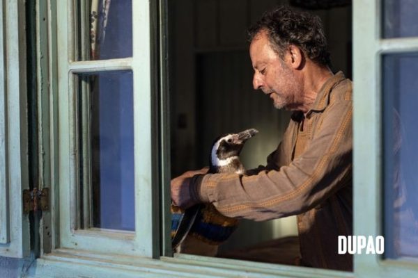 My Penguin Friend: Inspirada en la increíble historia real del pingüino DinDim