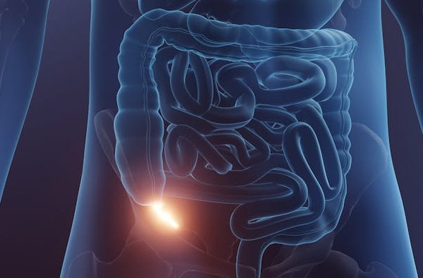 El apéndice no es un órgano tan inútil como pensábamos