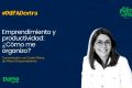 Emprendimiento y productividad: ¿Cómo me organizo?