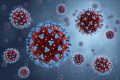 Los virus dejan huellas inmunes imborrables en nuestro cuerpo
