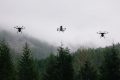 Usan drones para plantar semillas y reforestar bosques (+video)