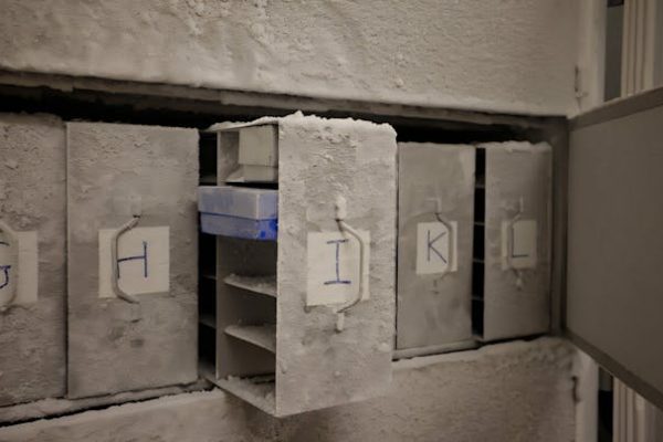 El arca de los microbios: un biobanco mundial para proteger la salud del planeta