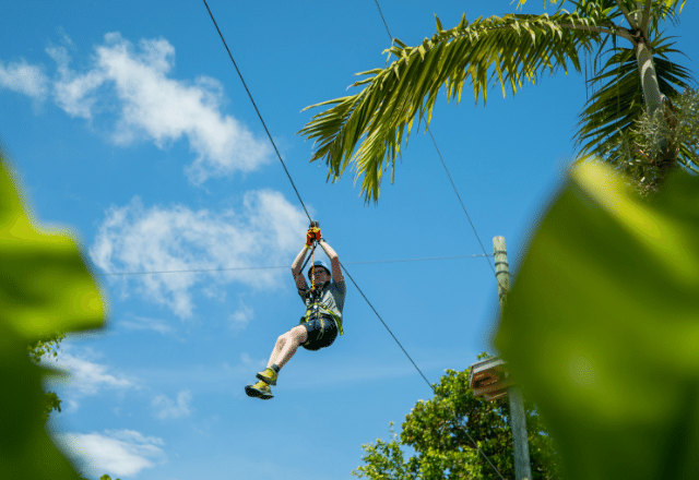 col-mpiate-como-tarz-n-en-treetop-trekking-miami-dupao-culturizando
